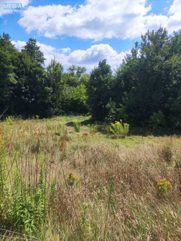 Продажа участка, 25&nbsp;соток, участок под жилую застройку, <a class="location-link" href="/boguslav/" title="Недвижимость Богуслав">Богуслав</a>, Набережна (изображение 3)