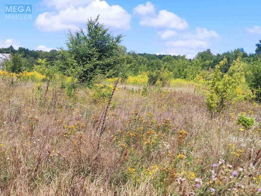 Продажа участка, 25&nbsp;соток, участок под жилую застройку, <a class="location-link" href="/boguslav/" title="Недвижимость Богуслав">Богуслав</a>, Набережна (изображение 4)