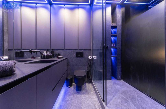 Оренда 1 кімнатної квартири, <a class="location-link" href="/kiev/" title="Недвижимость Київ">Київ</a>, <a class="location-link" href="/kiev/goloseevskij/" title="Недвижимость Голосіївський район">Голосіївський р-н</a>, Жилянская ул., 59 (изображение 13)