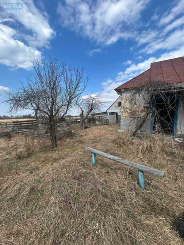 Продаж дома, 1&nbsp; поверх, 51&nbsp;кв.м, 2&nbsp;кімнати, ділянка 25&nbsp;соток, <a class="location-link" href="/malaya-olshanka/" title="Недвижимость Мала Вільшанка">Мала Вільшанка</a>, Миру (изображение 4)