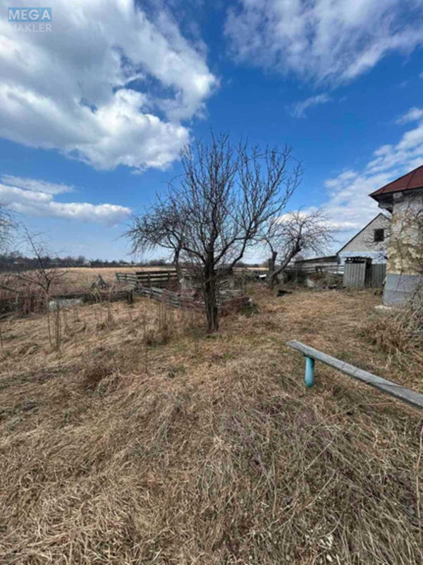 Продаж дома, 1&nbsp; поверх, 51&nbsp;кв.м, 2&nbsp;кімнати, ділянка 25&nbsp;соток, <a class="location-link" href="/malaya-olshanka/" title="Недвижимость Мала Вільшанка">Мала Вільшанка</a>, Миру (изображение 5)