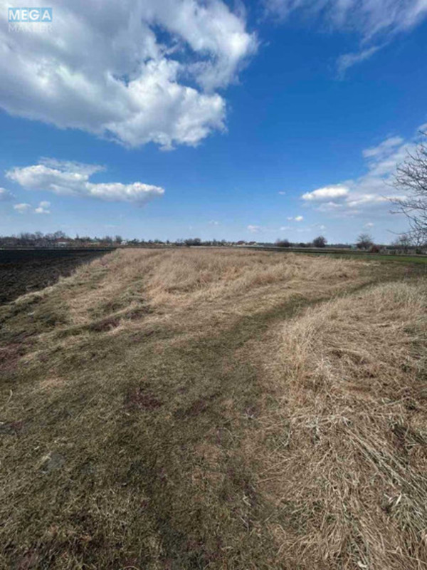 Продаж дома, 1&nbsp; поверх, 51&nbsp;кв.м, 2&nbsp;кімнати, ділянка 25&nbsp;соток, <a class="location-link" href="/malaya-olshanka/" title="Недвижимость Мала Вільшанка">Мала Вільшанка</a>, Миру (изображение 7)