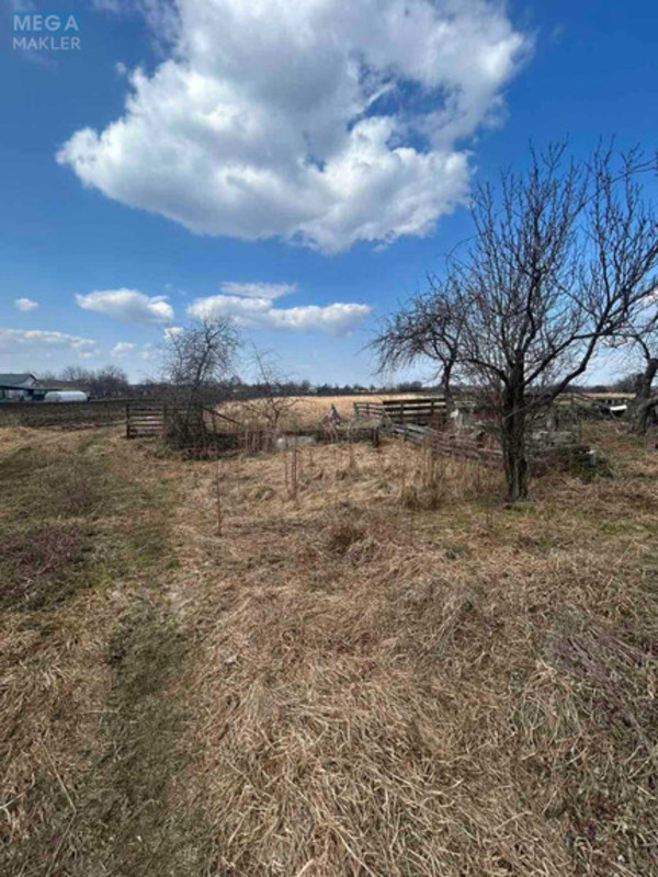 Продаж дома, 1&nbsp; поверх, 51&nbsp;кв.м, 2&nbsp;кімнати, ділянка 25&nbsp;соток, <a class="location-link" href="/malaya-olshanka/" title="Недвижимость Мала Вільшанка">Мала Вільшанка</a>, Миру (изображение 8)