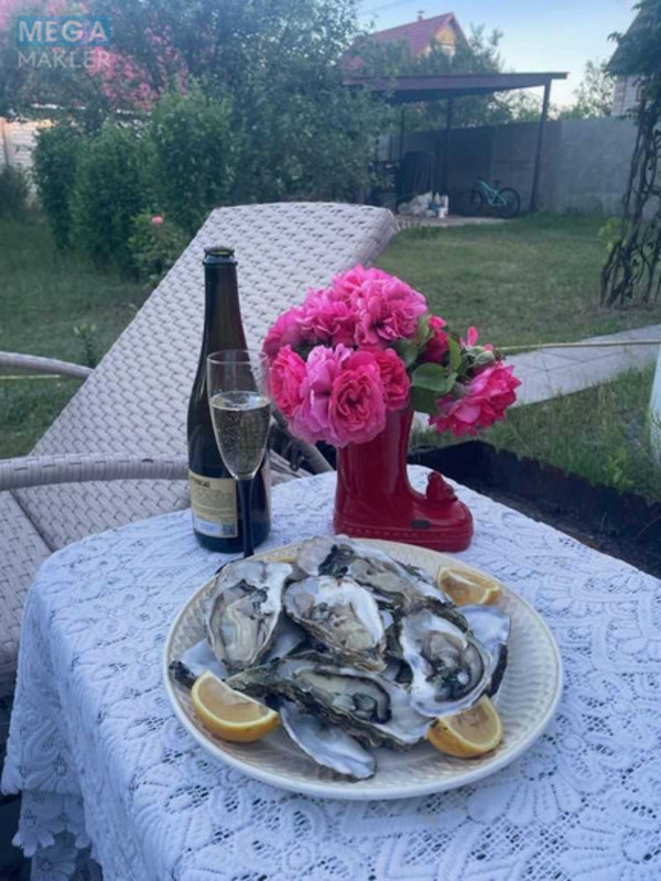 Продаж дома, 2&nbsp;поверху, 44&nbsp;кв.м, 3&nbsp;кімнати, ділянка 6&nbsp;соток, <a class="location-link" href="/podgorcy-selo/" title="Недвижимость Підгірці">Підгірці</a>, СТ Волга (изображение 21)