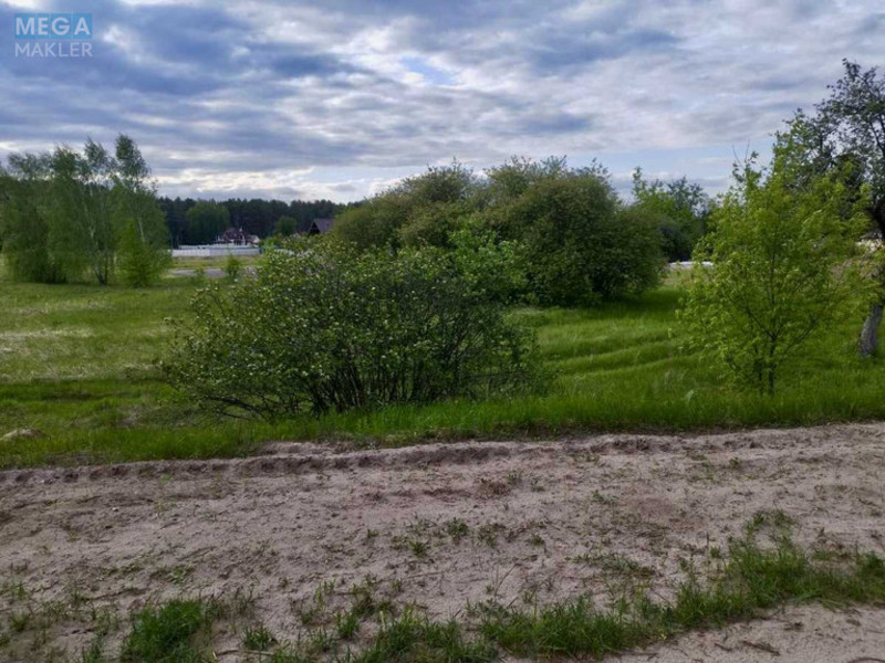 Продажа участка, 39&nbsp;соток, земля сельскохозяйственного назначения, <a class="location-link" href="/zhukin/" title="Недвижимость Жукін">Жукин</a>, Центральная (изображение 4)