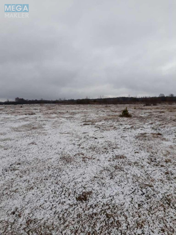 Продажа участка, 25&nbsp;соток, участок под жилую застройку, <a class="location-link" href="/kovel/" title="Недвижимость Ковель">Ковель</a>, М.Кримчука (изображение 3)