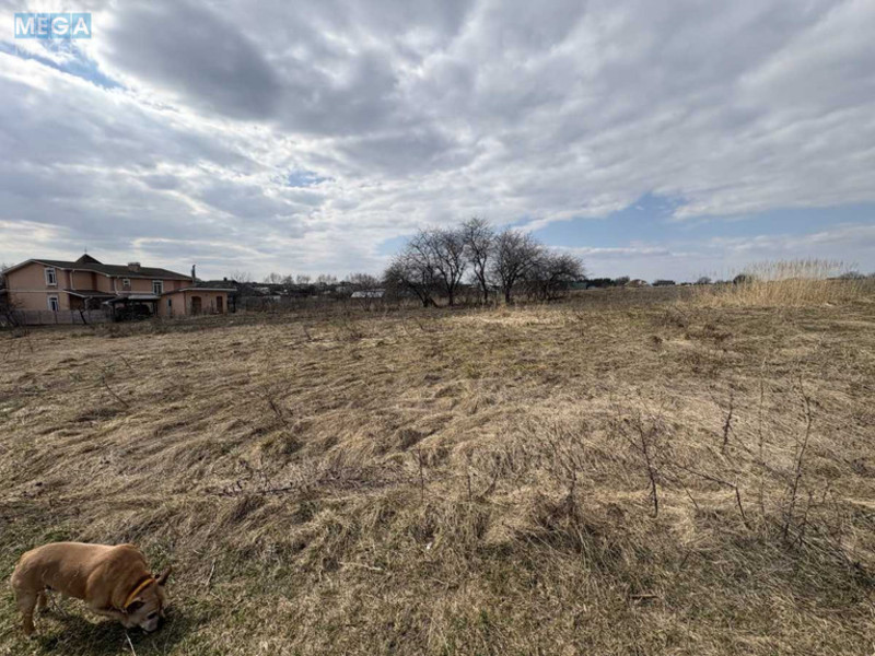 Продажа участка, 23,86&nbsp;сотки, участок под жилую застройку, <a class="location-link" href="/kienka/" title="Недвижимость Кіїнка">Киїнка</a>, Набережна (изображение 4)