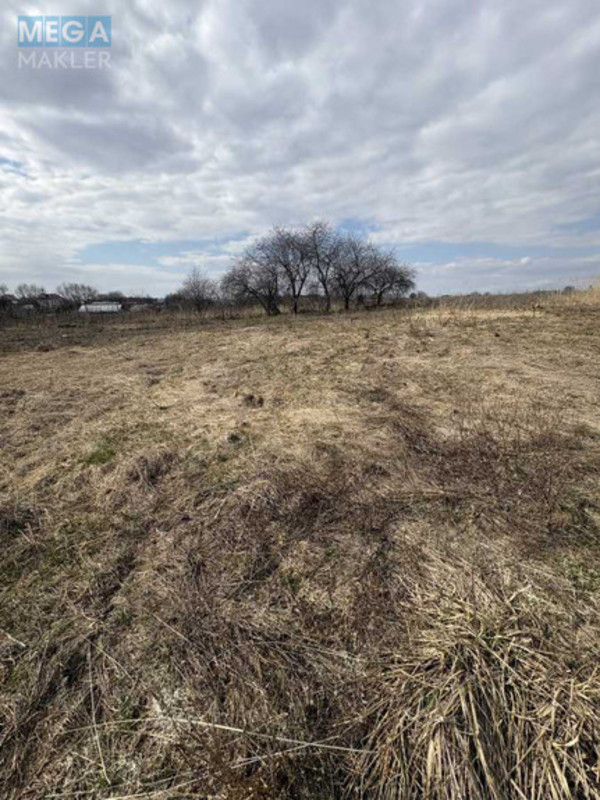 Продажа участка, 23,86&nbsp;сотки, участок под жилую застройку, <a class="location-link" href="/kienka/" title="Недвижимость Кіїнка">Киїнка</a>, Набережна (изображение 5)