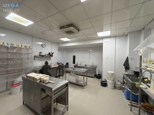 Продаж комерційної нерухомості, 74&nbsp;кв.м, под офис, <a class="location-link" href="/kiev/" title="Недвижимость Київ">Київ</a>, <a class="location-link" href="/kiev/shevchenkovskij/" title="Недвижимость Шевченківський район">Шевченківський р-н</a>, Глубочицкая ул., 40 (изображение 4)