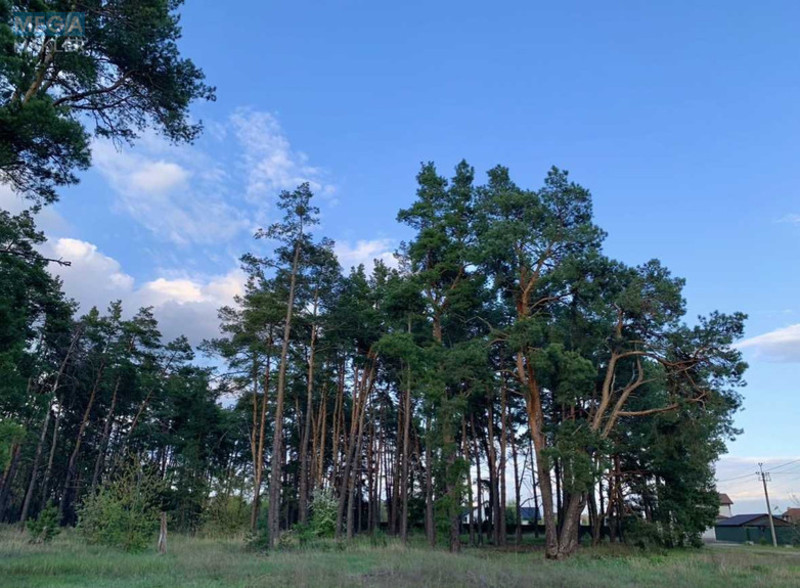 Продажа участка, 6&nbsp;соток, участок под жилую застройку, <a class="location-link" href="/novoselki-selo-kv/" title="Недвижимость Новосілки">Новосілки</a>, Райдужна (изображение 9)