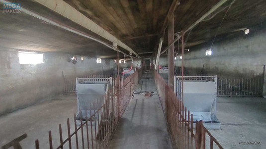 Продаж окремої будівлі/побудови, 600&nbsp;кв.м, <a class="location-link" href="/litki-selo-kv/" title="Недвижимость Літки">Літки</a>, Київська (изображение 13)