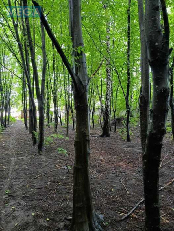 Продажа участка, 30&nbsp;соток, земля коммерческого назначения, <a class="location-link" href="/kiev/" title="Недвижимость Київ">Київ</a>, <a class="location-link" href="/kiev/goloseevskij/" title="Недвижимость Голосіївський район">Голосіївський р-н</a>, Жулянська вул. (изображение 5)