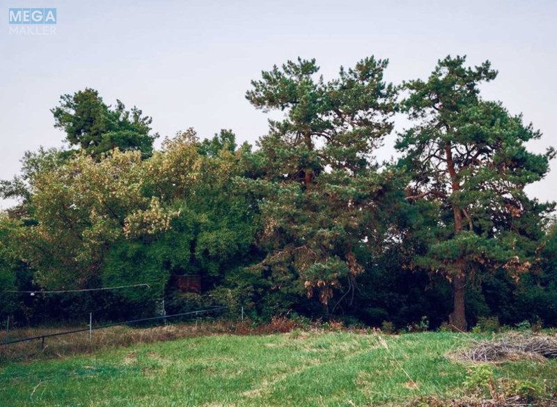 Продажа участка, 20&nbsp;соток, участок под жилую застройку, <a class="location-link" href="/plyuty/" title="Недвижимость Плюті">Плюти</a>, Малишка 8/1 (изображение 3)