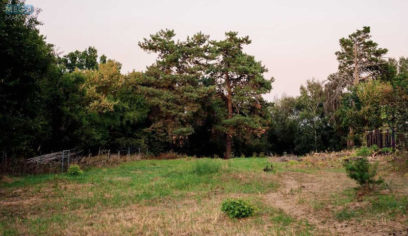 Продажа участка, 20&nbsp;соток, участок под жилую застройку, <a class="location-link" href="/plyuty/" title="Недвижимость Плюті">Плюти</a>, Малишка 8/1 (изображение 8)