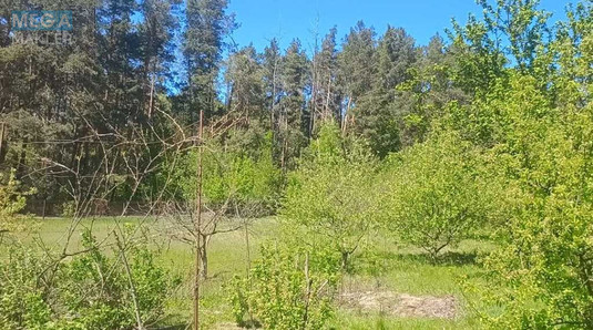 Продажа участка, 31&nbsp;сотка, участок под жилую застройку, <a class="location-link" href="/hlepcha/" title="Недвижимость Хлепча">Хлепча</a>, Касіора (изображение 5)