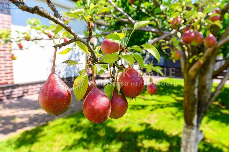 Продаж дома, 2&nbsp;поверху, 300&nbsp;кв.м, 5&nbsp;кімнат, ділянка 20&nbsp;соток, <a class="location-link" href="/gatnoe/" title="Недвижимость Гатне">Гатне</a>, Прикордонна (изображение 7)