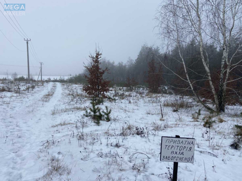 Продажа участка, 22,35&nbsp;сотки, участок под жилую застройку, <a class="location-link" href="/muzichi/" title="Недвижимость Музичі">Музичі</a>, Степова (изображение 3)