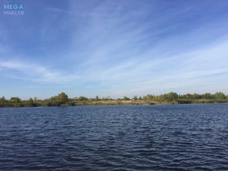 Продажа участка, 100&nbsp;соток, участок под жилую застройку, <a class="location-link" href="/kiev/" title="Недвижимость Київ">Київ</a>, <a class="location-link" href="/kiev/darnickij/" title="Недвижимость Дарницький район">Дарницький р-н</a>, Центральная ул. (изображение 3)