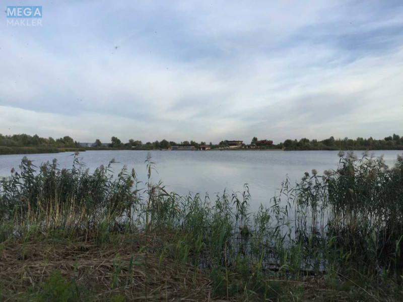 Продажа участка, 100&nbsp;соток, участок под жилую застройку, <a class="location-link" href="/kiev/" title="Недвижимость Київ">Київ</a>, <a class="location-link" href="/kiev/darnickij/" title="Недвижимость Дарницький район">Дарницький р-н</a>, Центральная ул. (изображение 7)