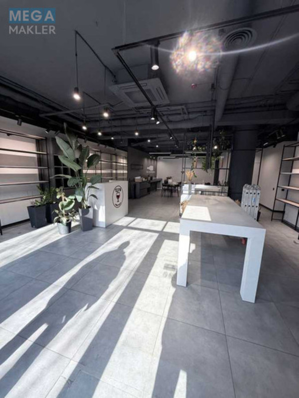 Оренда окремої будівлі/побудови, 100&nbsp;кв.м, <a class="location-link" href="/kiev/" title="Недвижимость Київ">Київ</a>, <a class="location-link" href="/kiev/shevchenkovskij/" title="Недвижимость Шевченківський район">Шевченківський р-н</a>, Тараса Шевченка бульв., 37/122 (изображение 6)