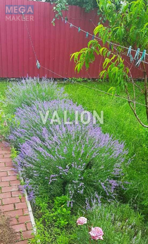 Продаж дома, 2&nbsp;поверху, 173&nbsp;кв.м, 6&nbsp;кімнат, ділянка 36&nbsp;соток, <a class="location-link" href="/bogdanovka-selo-kv-brovarskij-rajon/" title="Недвижимость Богданівка">Богданівка</a>, Богдана Хмельницкого, 202 (изображение 22)