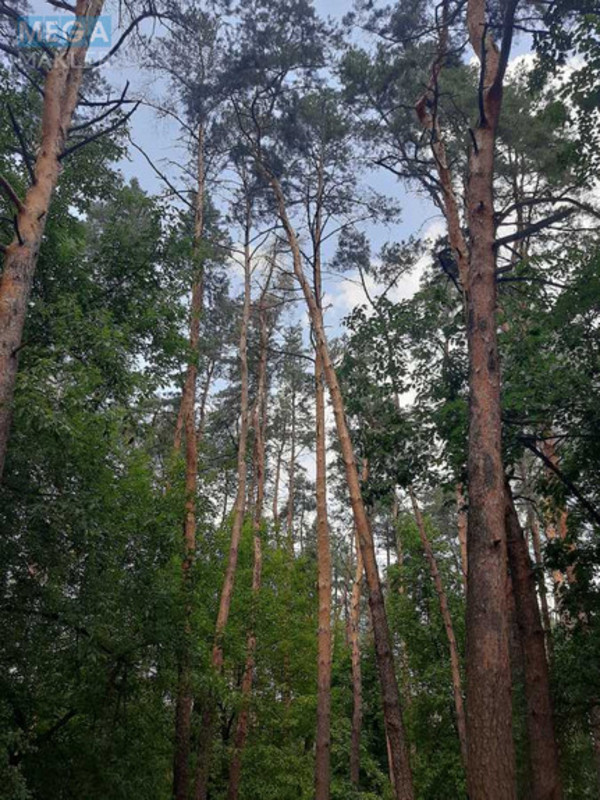 Оренда 1 кімнатної квартири, <a class="location-link" href="/kiev/" title="Недвижимость Київ">Київ</a>, <a class="location-link" href="/kiev/svyatoshinskij/" title="Недвижимость Святошинський район">Святошинський р-н</a>, Олевская ул., 7 (изображение 15)