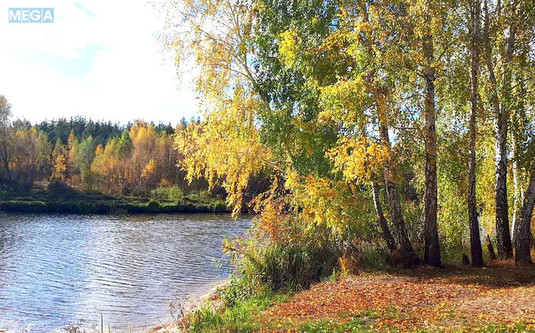 Продажа участка, 6&nbsp;соток, участок под жилую застройку, <a class="location-link" href="/nikolaevka-selo-kv-makarovskij-rajon/" title="Недвижимость Миколаївка">Миколаївка</a>, Миколаївська (изображение 2)