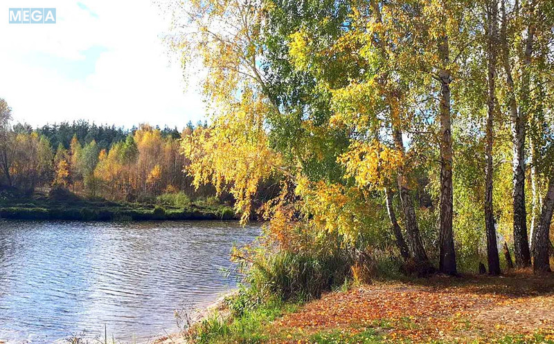 Продажа участка, 6&nbsp;соток, участок под жилую застройку, <a class="location-link" href="/nikolaevka-selo-kv-makarovskij-rajon/" title="Недвижимость Миколаївка">Миколаївка</a>, Миколаївська (изображение 2)