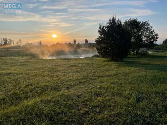 Продаж дома, 1&nbsp; поверх, 40&nbsp;кв.м, 1&nbsp; кімната, ділянка 2&nbsp;сотки, <a class="location-link" href="/osikovo-selo-kv/" title="Недвижимость Осикові">Осикове</a>, Польова (изображение 3)