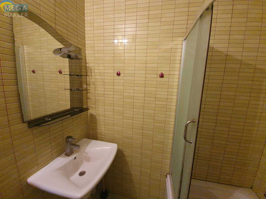 Оренда дома, <a class="location-link" href="/odessa/" title="Недвижимость Одеса">Одеса</a>, <a class="location-link" href="/odessa/suvorovskij/" title="Недвижимость Суворовський район">Суворовський р-н</a>, Лизы Гинзбург (изображение 3)