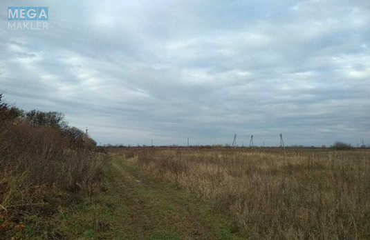 Продажа участка, 99,97&nbsp;соток, участок под жилую застройку, <a class="location-link" href="/pavshino/" title="Недвижимость Павшино">Павшино</a>, урочище Біля Водокачки (изображение 2)