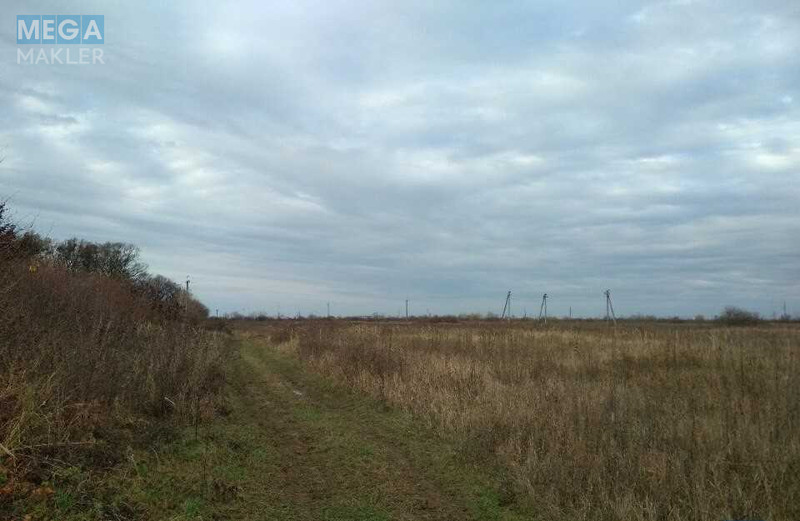 Продажа участка, 99,97&nbsp;соток, участок под жилую застройку, <a class="location-link" href="/pavshino/" title="Недвижимость Павшино">Павшино</a>, урочище Біля Водокачки (изображение 2)