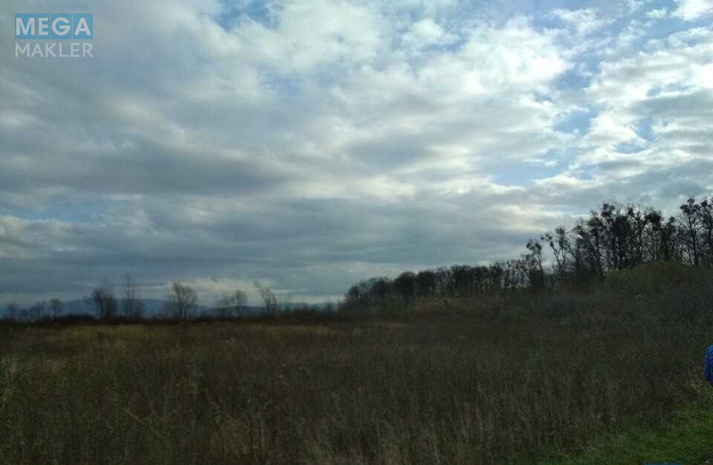 Продажа участка, 99,97&nbsp;соток, участок под жилую застройку, <a class="location-link" href="/pavshino/" title="Недвижимость Павшино">Павшино</a>, урочище Біля Водокачки (изображение 3)