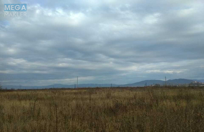 Продажа участка, 99,97&nbsp;соток, участок под жилую застройку, <a class="location-link" href="/pavshino/" title="Недвижимость Павшино">Павшино</a>, урочище Біля Водокачки (изображение 5)