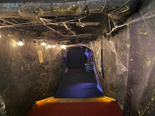 Продаж окремої будівлі/побудови, 409&nbsp;кв.м, <a class="location-link" href="/kiev/" title="Недвижимость Київ">Київ</a>, <a class="location-link" href="/kiev/shevchenkovskij/" title="Недвижимость Шевченківський район">Шевченківський р-н</a>, Січових Стрільців вул., 14а (изображение 4)