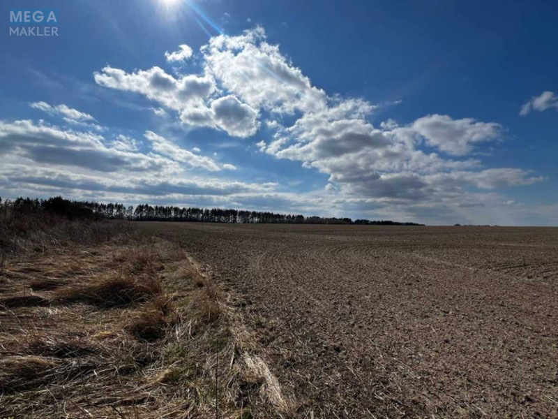 Продажа участка, 603,59&nbsp;сотки, участок под жилую застройку, <a class="location-link" href="/gruzskoe-selo-kv/" title="Недвижимость Грузьке">Грузьке</a>, нова (изображение 2)