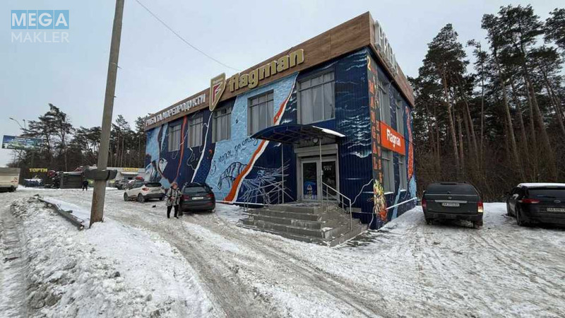 Оренда комерційної нерухомості, 572&nbsp;кв.м, под магазин, <a class="location-link" href="/kiev/" title="Недвижимость Київ">Київ</a>, <a class="location-link" href="/kiev/desnyanskij/" title="Недвижимость Деснянський район">Деснянський р-н</a>, Броварський просп., 36 (изображение 2)