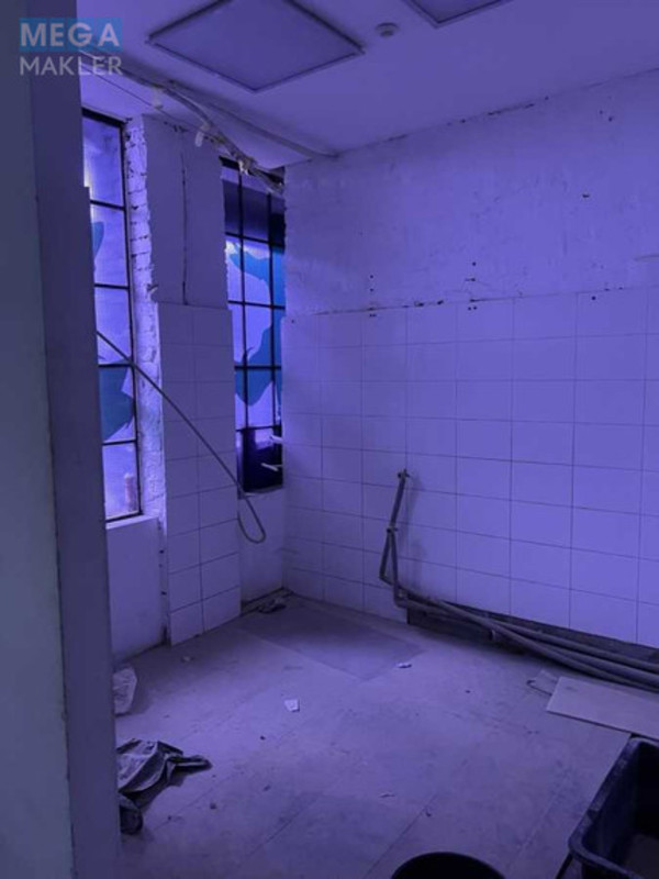 Продаж окремої будівлі/побудови, 505&nbsp;кв.м, <a class="location-link" href="/kiev/" title="Недвижимость Київ">Київ</a>, <a class="location-link" href="/kiev/pecherskij/" title="Недвижимость Печерський район">Печерський р-н</a>, Толстого Льва пл. (изображение 5)