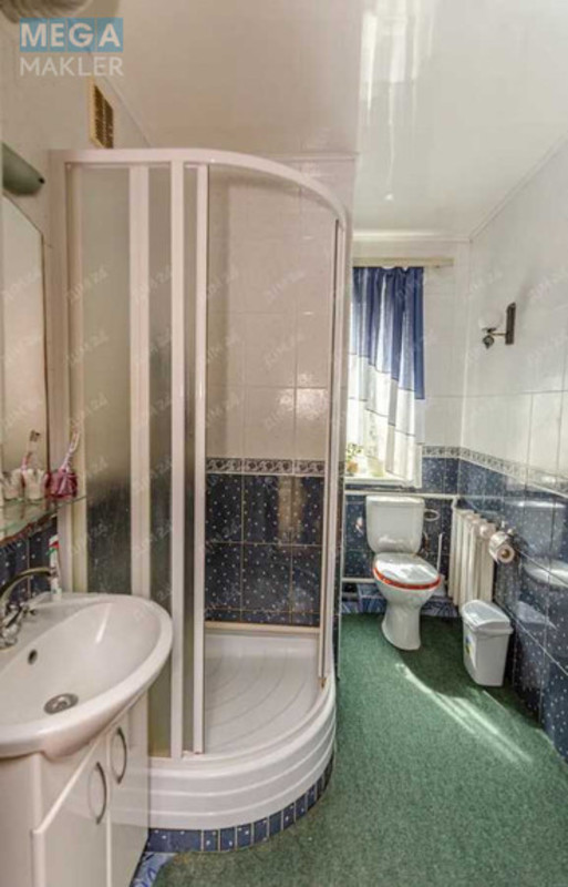 Продаж дома, 2&nbsp;поверху, 255&nbsp;кв.м, 4&nbsp;кімнати, ділянка 25&nbsp;соток, <a class="location-link" href="/zheleznodorozhnoe-selo-pl/" title="Недвижимость Залізничне">Залізничне</a>, Зоряна, 1 (изображение 11)