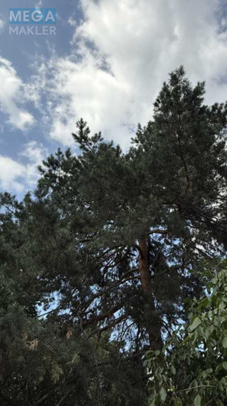 Продажа участка, 20&nbsp;соток, участок под жилую застройку, <a class="location-link" href="/plyuty/" title="Недвижимость Плюті">Плюти</a>, Малышка (изображение 6)