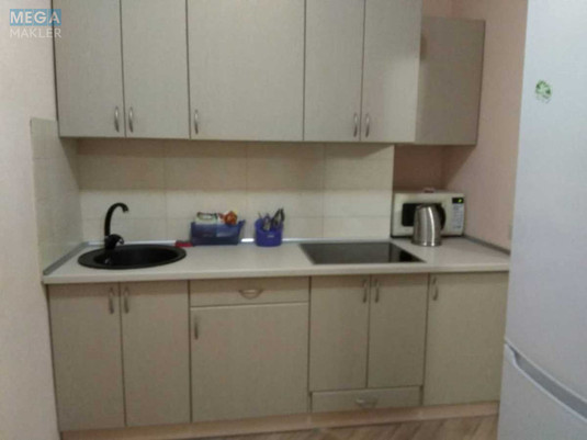 Оренда 1 кімнатної квартири, <a class="location-link" href="/kiev/" title="Недвижимость Київ">Київ</a>, <a class="location-link" href="/kiev/shevchenkovskij/" title="Недвижимость Шевченківський район">Шевченківський р-н</a>, Руданского Степана ул., 3А (изображение 4)