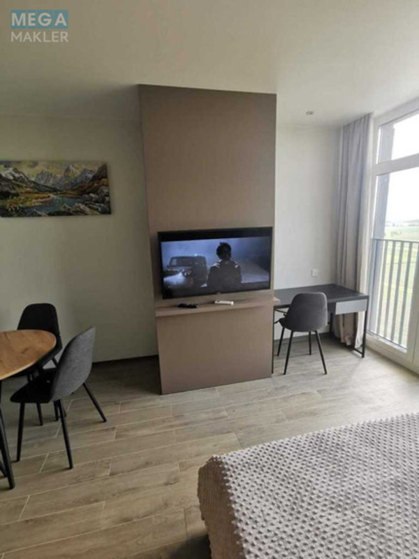 Оренда 1 кімнатної квартири, <a class="location-link" href="/chabany/" title="Недвижимость Чабані">Чабани</a>, Оптимістична, 1 (изображение 2)