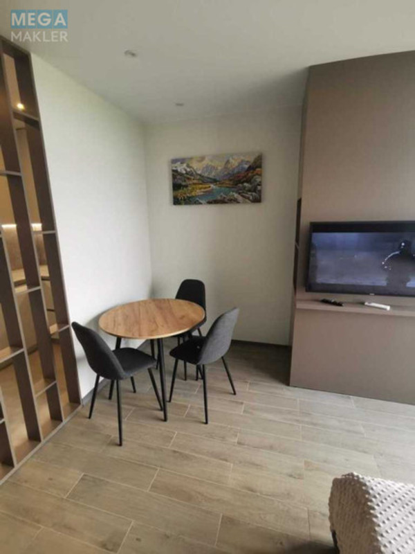 Оренда 1 кімнатної квартири, <a class="location-link" href="/chabany/" title="Недвижимость Чабані">Чабани</a>, Оптимістична, 1 (изображение 10)