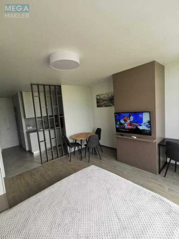 Оренда 1 кімнатної квартири, <a class="location-link" href="/chabany/" title="Недвижимость Чабані">Чабани</a>, Оптимістична, 1 (изображение 11)