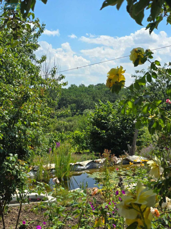 Продаж дома, 2&nbsp;поверху, 40&nbsp;кв.м, 2&nbsp;кімнати, ділянка 12&nbsp;соток, <a class="location-link" href="/cherkas/" title="Недвижимость Черкас">Черкас</a>, Польова (изображение 21)