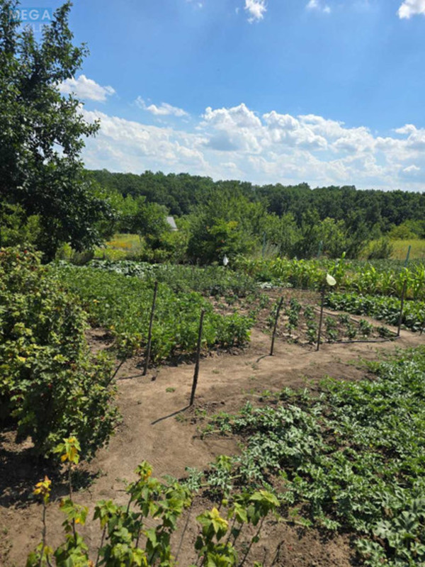 Продаж дома, 2&nbsp;поверху, 40&nbsp;кв.м, 2&nbsp;кімнати, ділянка 12&nbsp;соток, <a class="location-link" href="/cherkas/" title="Недвижимость Черкас">Черкас</a>, Польова (изображение 24)