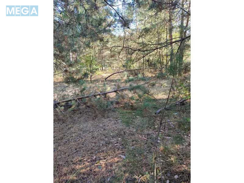 Продажа участка, 25&nbsp;соток, участок под жилую застройку, <a class="location-link" href="/pleseckoe/" title="Недвижимость Плесецьке">Плесецьке</a>, Лісна, 10 (изображение 3)