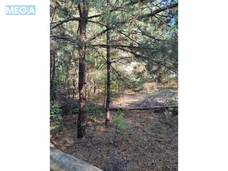 Продажа участка, 25&nbsp;соток, участок под жилую застройку, <a class="location-link" href="/pleseckoe/" title="Недвижимость Плесецьке">Плесецьке</a>, Лісна, 10 (изображение 5)