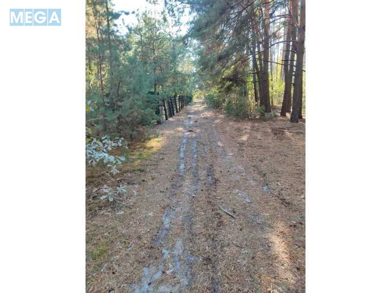 Продажа участка, 25&nbsp;соток, участок под жилую застройку, <a class="location-link" href="/pleseckoe/" title="Недвижимость Плесецьке">Плесецьке</a>, Лісна, 10 (изображение 8)