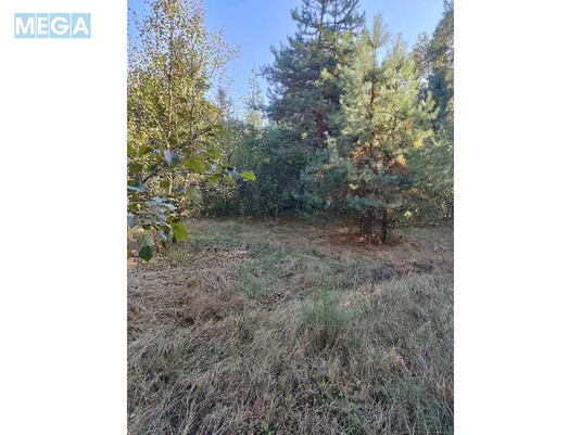 Продажа участка, 25&nbsp;соток, участок под жилую застройку, <a class="location-link" href="/pleseckoe/" title="Недвижимость Плесецьке">Плесецьке</a>, Лісна, 10 (изображение 9)